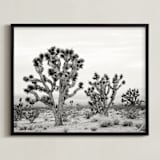 "Joshua Tree" - Art Print in joshua tree gray by Kristi Jackson - Framed