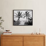 "Coconut gate" - Art Print in black by Eliane Lamb - In a Room