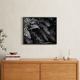 "Ferns" - Art Print in black and white by Eliane Lamb - In a Room