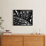 "Peek A Boo" - Art Print in black and white by Amy Chapman Braun - In a Room