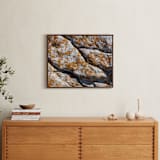 "Mediterranean Lichen" - Art Print in curcuma by Christiana Petschallies - In a Room