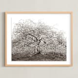"bloom I" - Art Print in blossom by Sara Hicks Malone - Framed