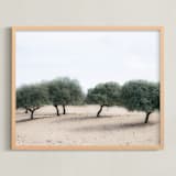 "Casting Shade" - Art Print in Sage by Courtney Crane - Framed