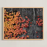 "Fall Wall" - Art Print in Burnt orange by Johanna Phillips Huuva - Framed