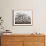 "bloom I" - Art Print in blossom by Sara Hicks Malone - In a Room