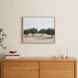 "Casting Shade" - Art Print in Sage by Courtney Crane - In a Room