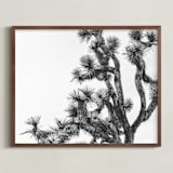 "Joshua Tree in September" - Art Print in Charcoal by Katie Doherty - Framed