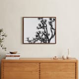 "Joshua Tree in September" - Art Print in Charcoal by Katie Doherty - In a Room