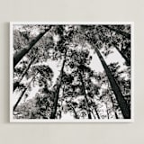 "In the Woods" - Art Print in black and white by lulu and isabelle - Framed