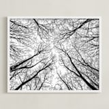 "Lost in the forest" - Art Print in Black and White by Magdalena Kucova - Framed