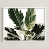 "Diane" - Art Print in Variegated Green by Kristi Jackson - Framed