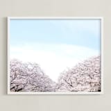 "Hanami" - Art Print in Cherry Blossom by Krissy Bengtson - Framed