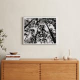 "In the Woods" - Art Print in black and white by lulu and isabelle - In a Room