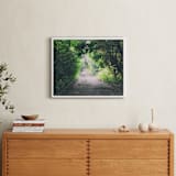 "Pathway" - Art Print in Forest by Carol Schiraldi - In a Room