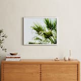 "Singularity" - Art Print in Palm Green by Bethania Lima - In a Room
