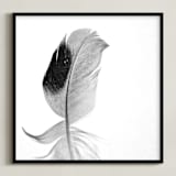 "Ruffled Feather" - Art Print in Black and White by Sarah Luna - Framed