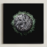 "The Space We Are Given" - Art Print in Pale Grass by Elky Ink - Framed