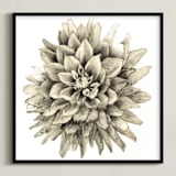 "Graphite Dahlia" - Art Print in graphite by Sonal Nathwani - Framed