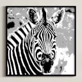 "mr ZEBRA" - Art Print in zebra black by Gail Schechter - Framed