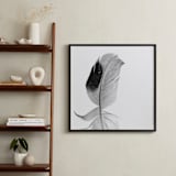 "Ruffled Feather" - Art Print in Black and White by Sarah Luna - In a Room