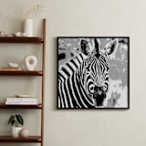 "mr ZEBRA" - Art Print in zebra black by Gail Schechter - In a Room