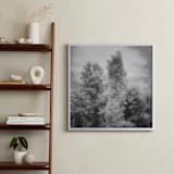 "InfraBotanical" - Art Print in Grey by Jeff Preuss - In a Room