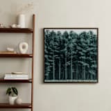 "through the trees" - Art Print in Pine by Keely Norton Owendoff - In a Room