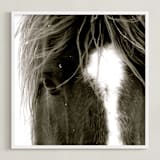 "Apache Jack" - Art Print in Dark Brown/Black and White by Leslie Le Coq - Framed