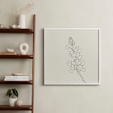 "Lupine" - Art Print in charcoal on ivory by Jorey Hurley - In a Room