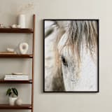 "Wild Horse Eye" - Art Print in Cafe Cream by Michelle Detering - In a Room