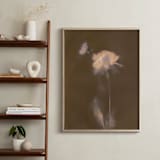 "Single Dahlia Flower" - Art Print in Earth by Sarah Hart Morgan - In a Room