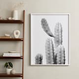 "Moorten Cactus Study 1" - Art Print in Silver Grey by Lisa Sundin - In a Room