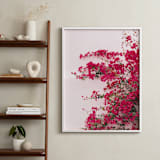 "Bright Bougainvillea" - Art Print in Bright Pink by The One With Wanderlust - In a Room