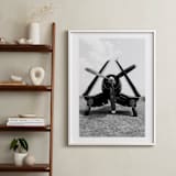"Sky Bird ~ 4" - Art Print in Black by Janet Cruz - In a Room