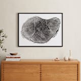 "Tree Rings pt. 1" - Art Print in Black by Mackenzie Darrach - In a Room