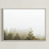 "Foggy Autumn Forest Morning" - Art Print in Foggy Green by Katie Buckman - Framed