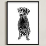 "Happy Lab" - Art Print in Black and White by Katrina Leandro - Framed