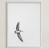 "Gliding Pelican Over Lake" - Art Print in Monochrome by Mary Ann Glynn-Tusa - Framed