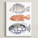 "Three Fish" - Art Print in tangerine by Natalie Groves - Framed Canvas