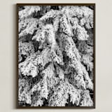 "Frost 3" - Art Print in Black & White by Ardell McLennan - Framed