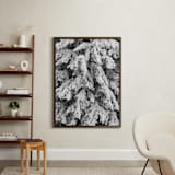 "Frost 3" - Art Print in Black & White by Ardell McLennan - In a Room