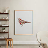 "Bird Geometry" - Art Print in Red Sienna by Jennifer Morehead - In a Room