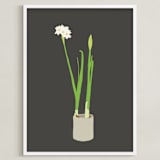 "Paperwhites" - Art Print in Charcoal by Jorey Hurley - Framed