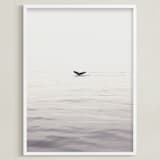 "A Humpback Tale" - Art Print in Ocean Grey by Joelle Segal - Framed