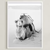 "Smiles in the Sahara" - Art Print in Fog by Jamie Lollback - Framed