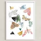 "Moths" - Art Print in Moss Green by Emilie Simpson - Framed