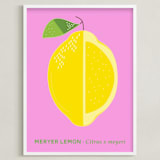 "Bold Lemon Print" - Art Print in Cheery Pink by Gaucho Works - Framed