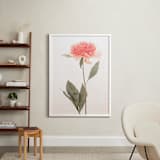 "a pink peony standing gracefully" - Art Print in vintage roseate by Qing Ji - In a Room