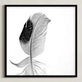 "Ruffled Feather" - Art Print in Black and White by Sarah Luna - Framed