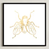 "So Fly" - Art Print in Gold by rose lindo - Framed